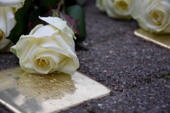 Aufruf zur Stolpersteinputzaktion zum internationalen Gedenktag für die Opfer des Holocausts